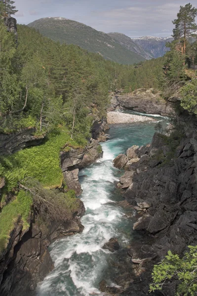 Между скалами течет река — стоковое фото