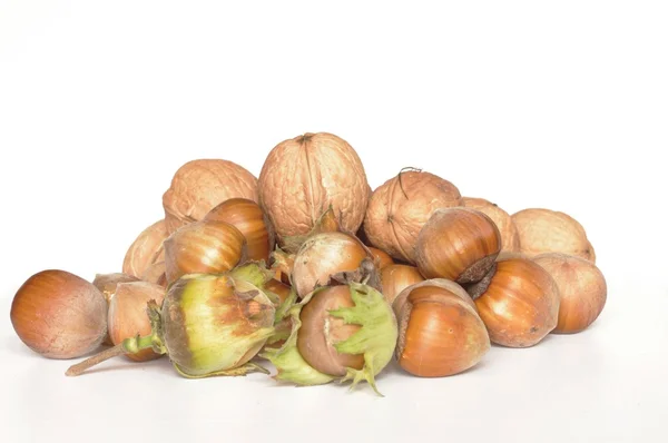 Lískové oříšky a vlašské ořechy — Stock fotografie