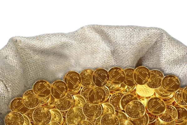 Coin in bag — Stock Photo, Image