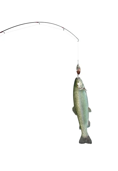 Alabalık Balık tutma-çubuk üzerinde — Stok fotoğraf