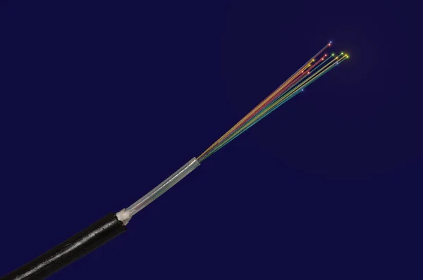 Câbles à fibre optique couleur — Photo