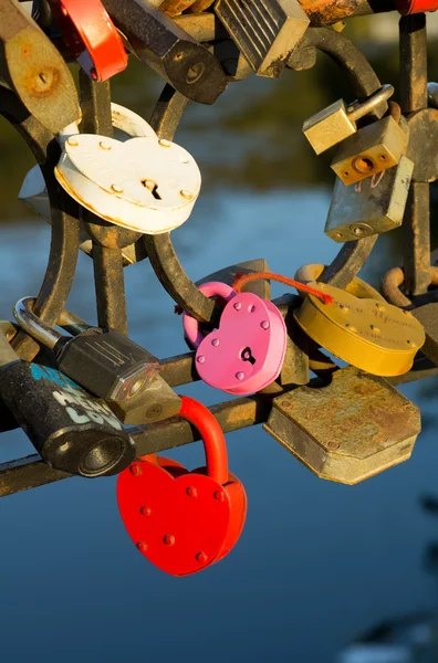 stock image Iron heart