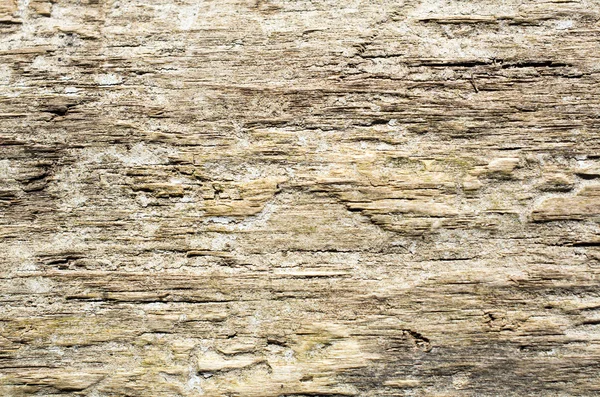 stock image Texture of old wood