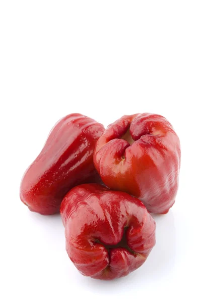 Rose jabłko lub chomphu — Zdjęcie stockowe