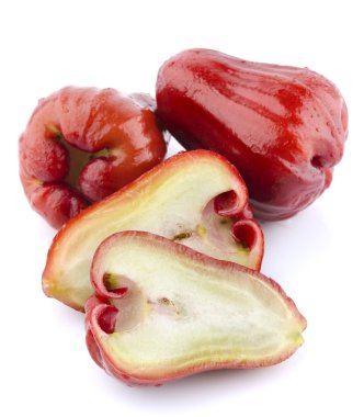 Rose Apple or Chomphu clipart