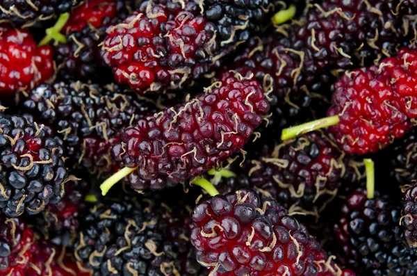 Mulberries — 스톡 사진
