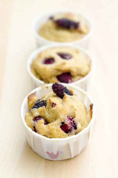 Muffin di gelso — Foto Stock
