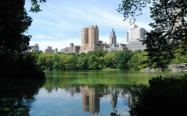 Pohled z central parku v new york city — Stock fotografie