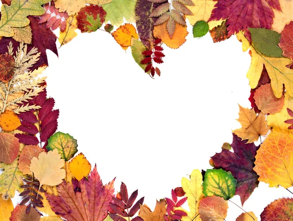 Forma el corazón de las hojas de otoño — Foto de Stock