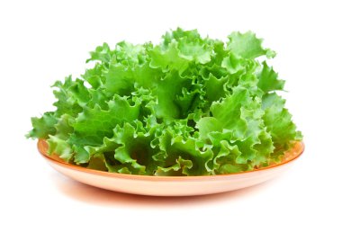 Fresh green salad clipart