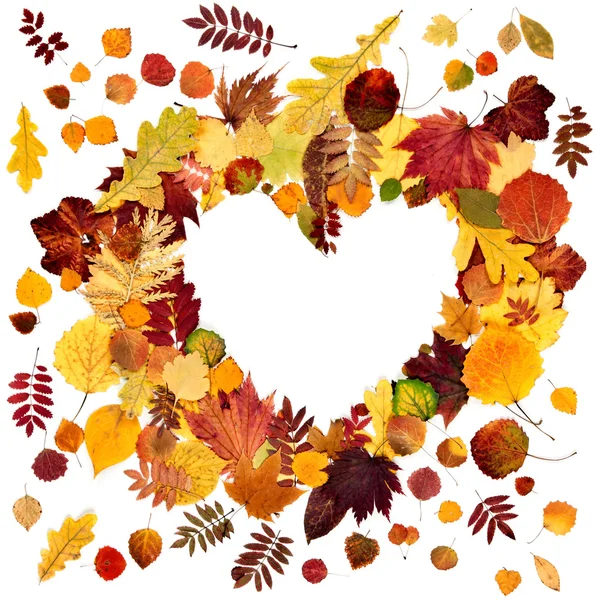 Forma el corazón de las hojas de otoño — Foto de Stock