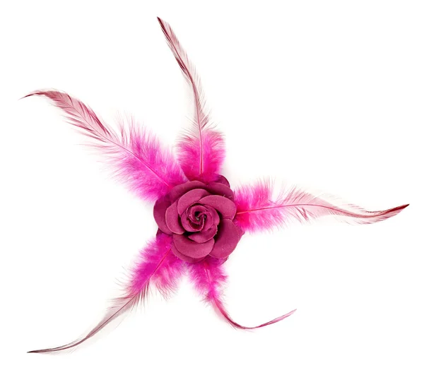 Pink rose fabric with feathers — Stock Photo, Image