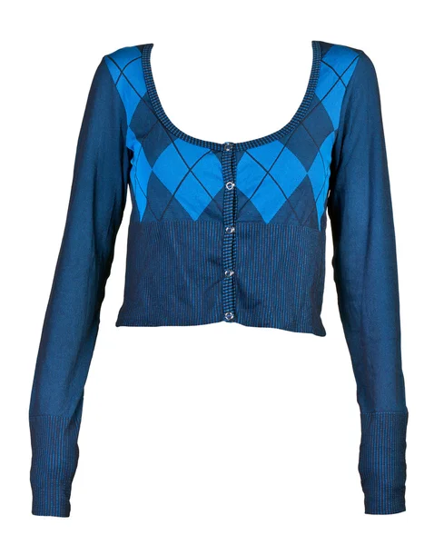 Bayan mavi kareli bluz modeli — Stok fotoğraf