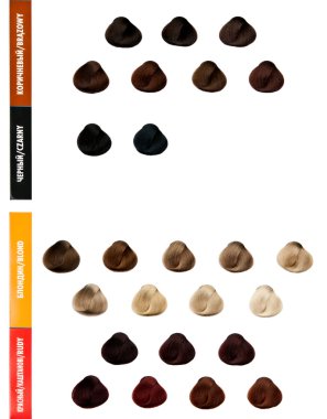 Professional palette of hair colors for color selection clipart