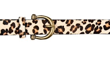 Belt with leopard pattern clipart