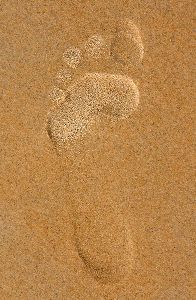 在海滩上的沙子足迹 — 图库照片