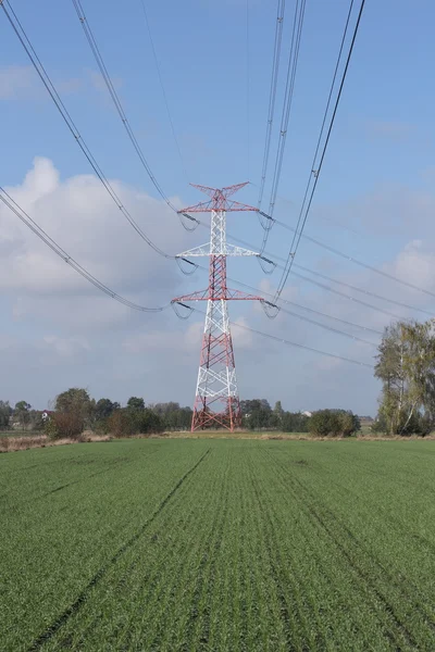 Yüksek Voltaj Hattı — Stok fotoğraf
