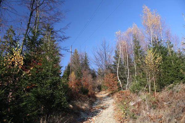 stock image Mountain trail