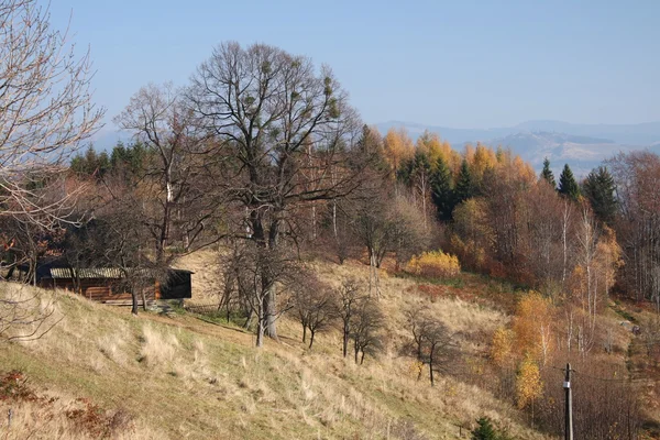 Valley in autumn — стоковое фото