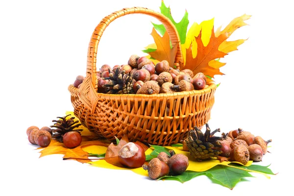 Jesień wiklinowy koszyk — Zdjęcie stockowe