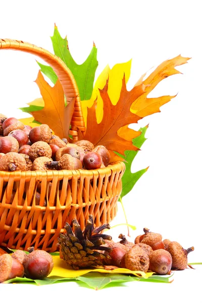 Jesień wiklinowy koszyk — Zdjęcie stockowe