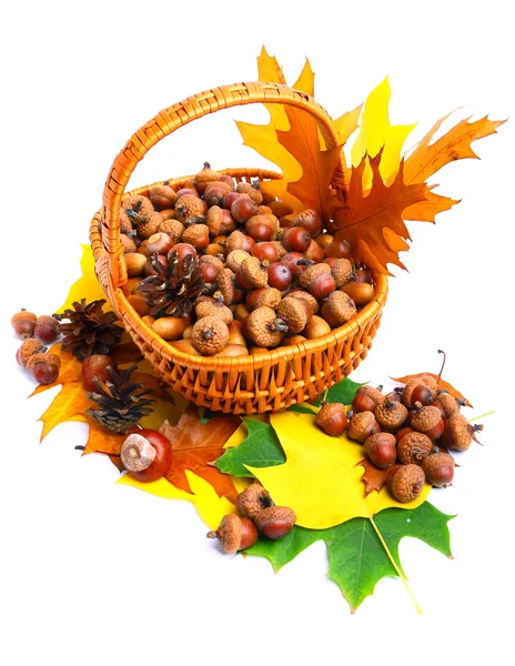 Autumn wicker basket — Stock Photo, Image