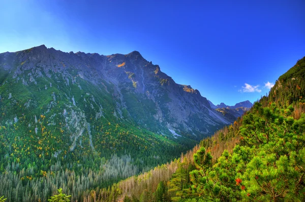 Hermosa vista de las altas montañas eslovacas de Tatras —  Fotos de Stock