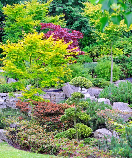 Japão jardim — Fotografia de Stock
