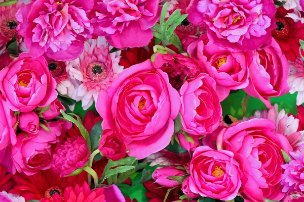 Růžové květy — Stock fotografie