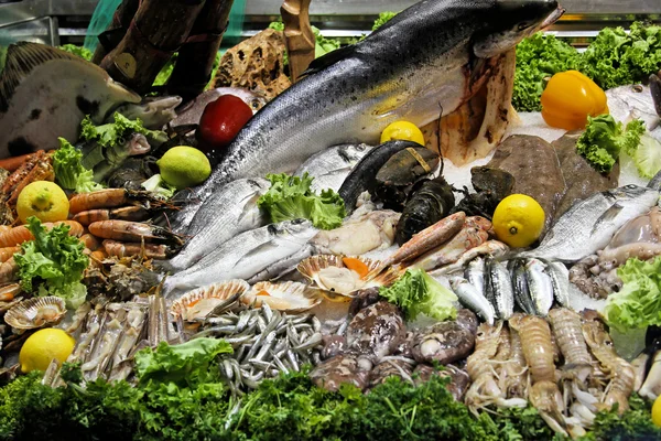 Fischvielfalt — Stockfoto