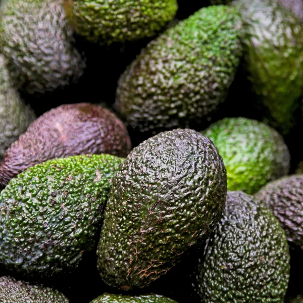 Green avocado Stock Image