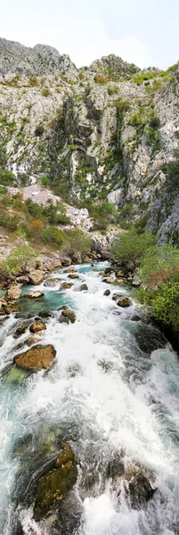 Stock image River Ljuta