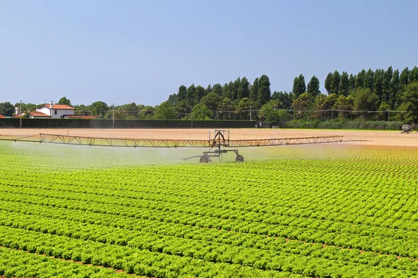 Sistema di irrigazione — Foto Stock