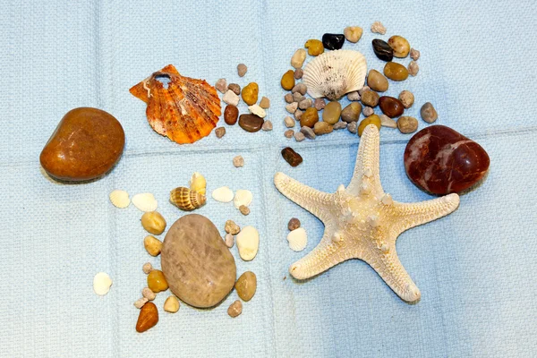 Conchas e estrela — Fotografia de Stock
