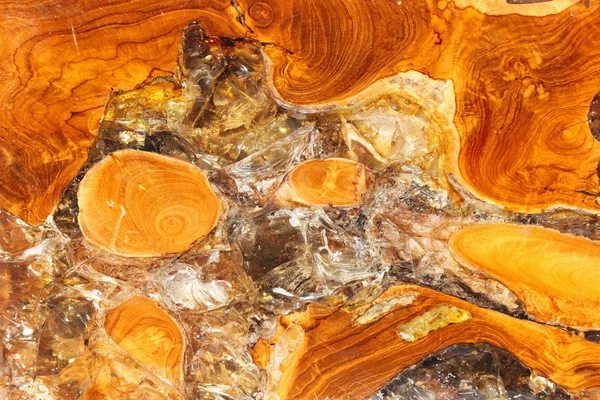 Wood and resin — Stock Photo, Image