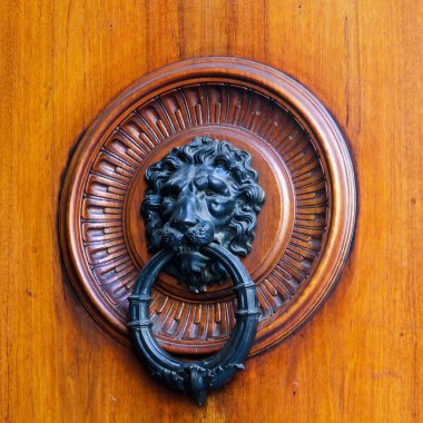 Aslan tokmağı