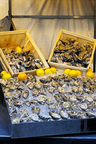 Oyster stall — Stock Photo, Image
