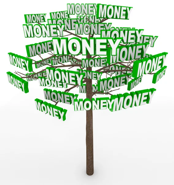 Pieniądze rośnie na drzewach słowo na gałęzi drzewa — Zdjęcie stockowe