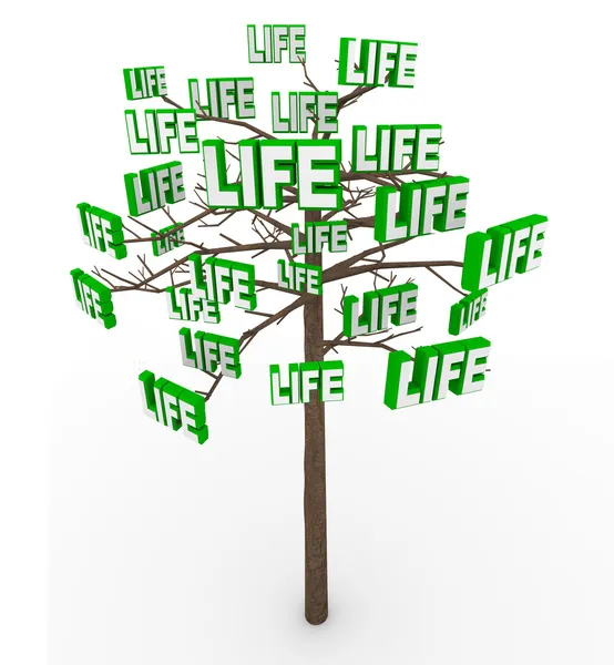 生命之树-自然增长和在现代生活中的进展 — 图库照片