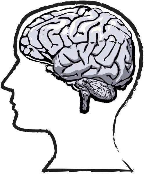 Rough cérebro humano mente grunge esboço — Vetor de Stock