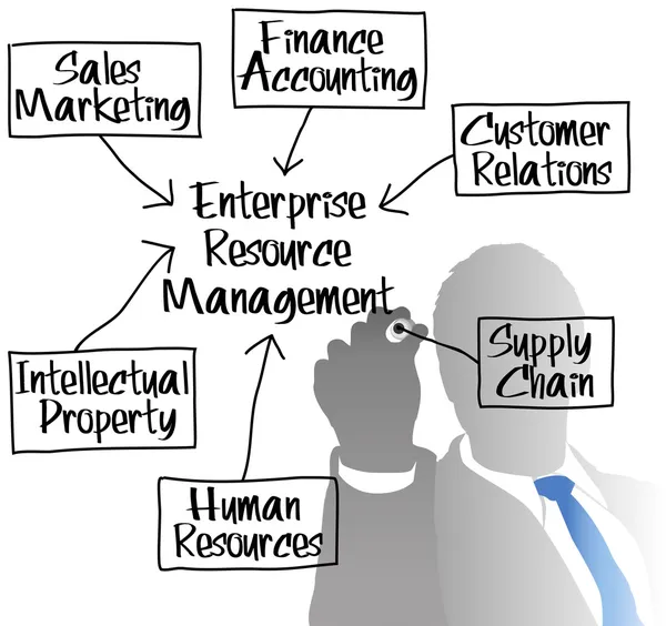 ERM zasobów przedsiębiorstwa zarządzania diagramu — Wektor stockowy