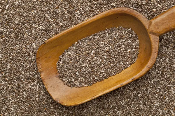 Chia seed on scoop — Stock Photo, Image