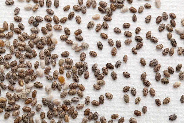 Чиа семена на холсте — стоковое фото