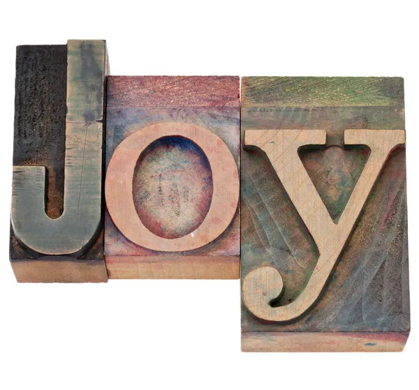 Vreugde woord in boekdruk type — Stockfoto