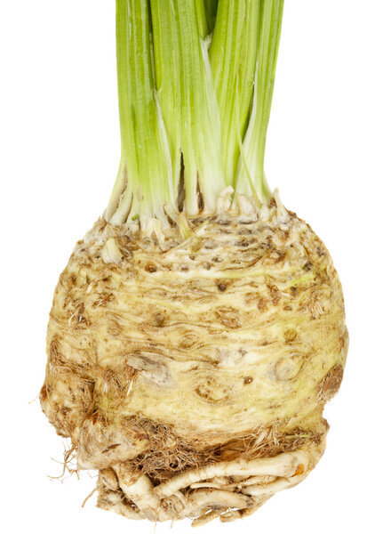 Celery root (celeriac)