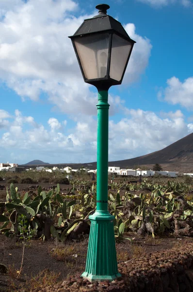 A view of Lanzarote, in the Canary Islands, Spain — Stock Photo, Image