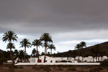 çıkıyor, lanzarote