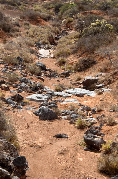 stock image Dried River Bed