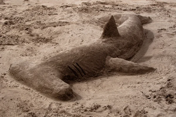 Hammerhead shark készült homok — Stock Fotó