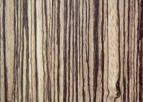 Madeira árvore texturizado fundo — Fotografia de Stock